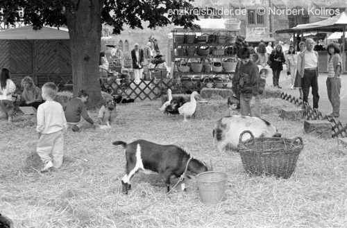 Klosterfest Maulbronn