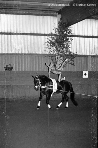 CyberViewX v5.16.75Model Code49F/W Version1.06